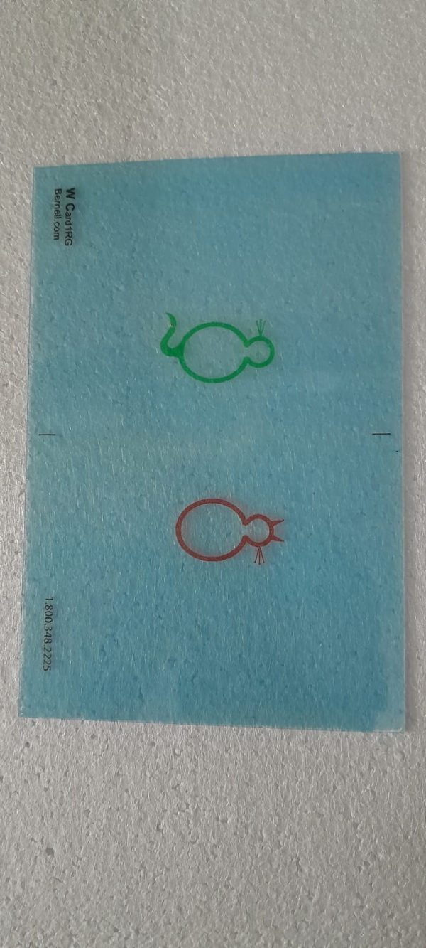 WCARDST Wiley Cat Cards Translucent Set of 7 - Image 3