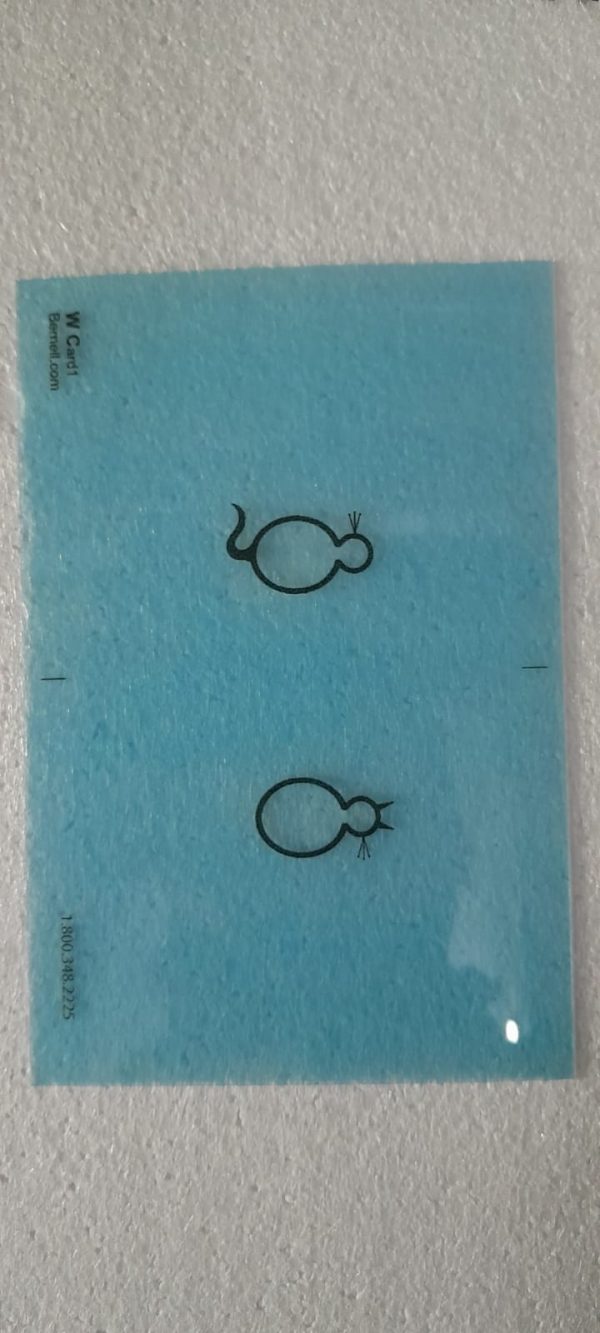 WCARDST Wiley Cat Cards Translucent Set of 7 - Image 4