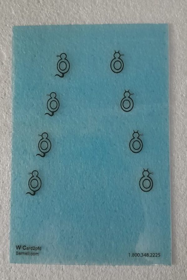 WCARDST Wiley Cat Cards Translucent Set of 7 - Image 5