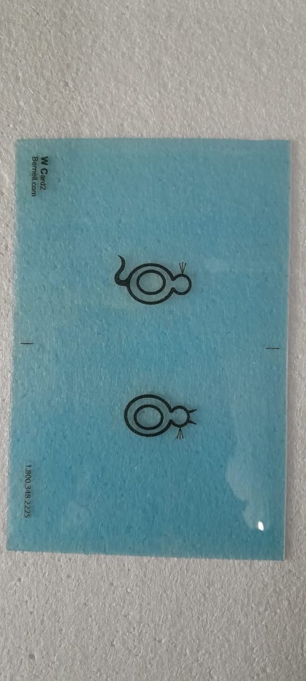 WCARDST Wiley Cat Cards Translucent Set of 7 - Image 6
