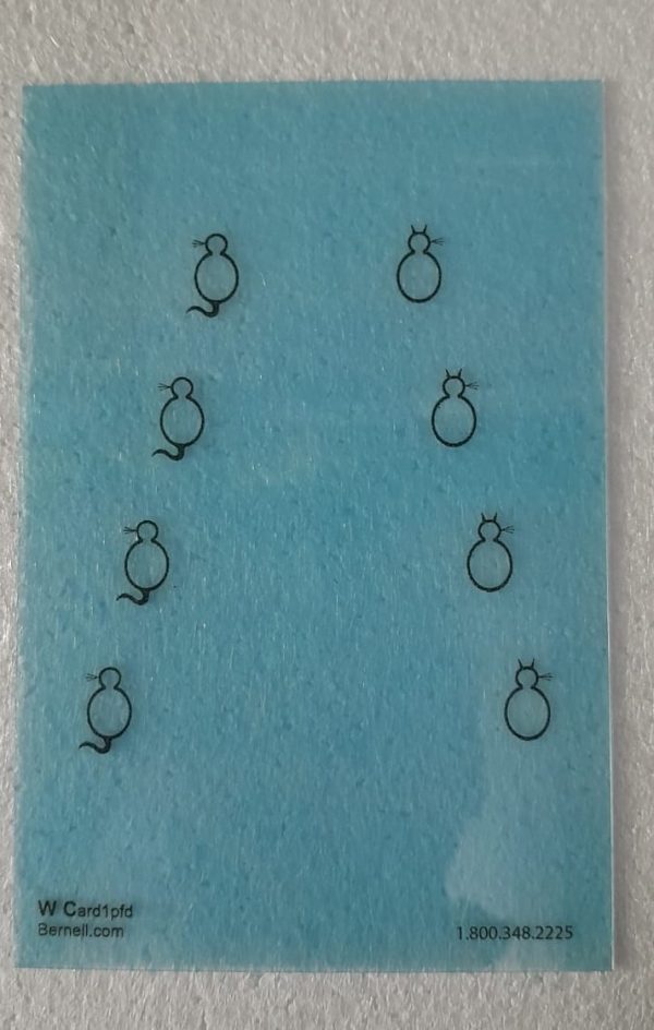 WCARDST Wiley Cat Cards Translucent Set of 7 - Image 7