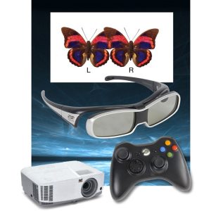 Computer Orthoptics