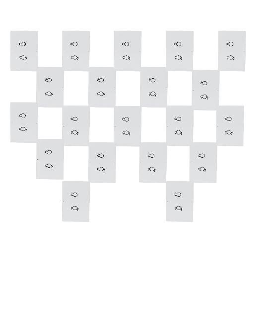 Cat Card (Pack Of 20)